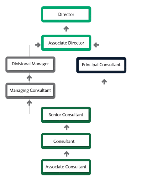 Career paths at Ambition