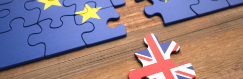 Blog 20160627 Brexit And Proffessional Services Recruitment What Now