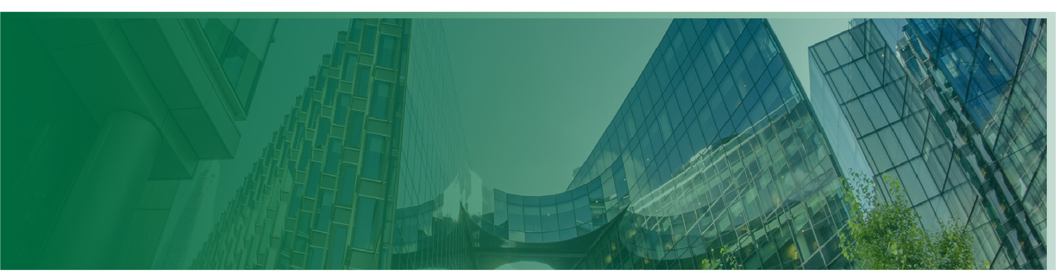 Corporate Finance
