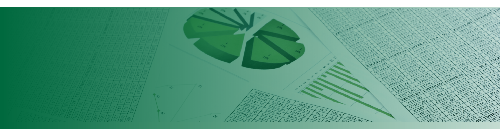 Audit & Assurance