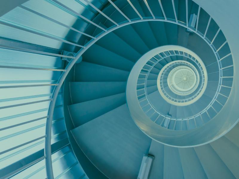 C-Suite & Senior Leadership   