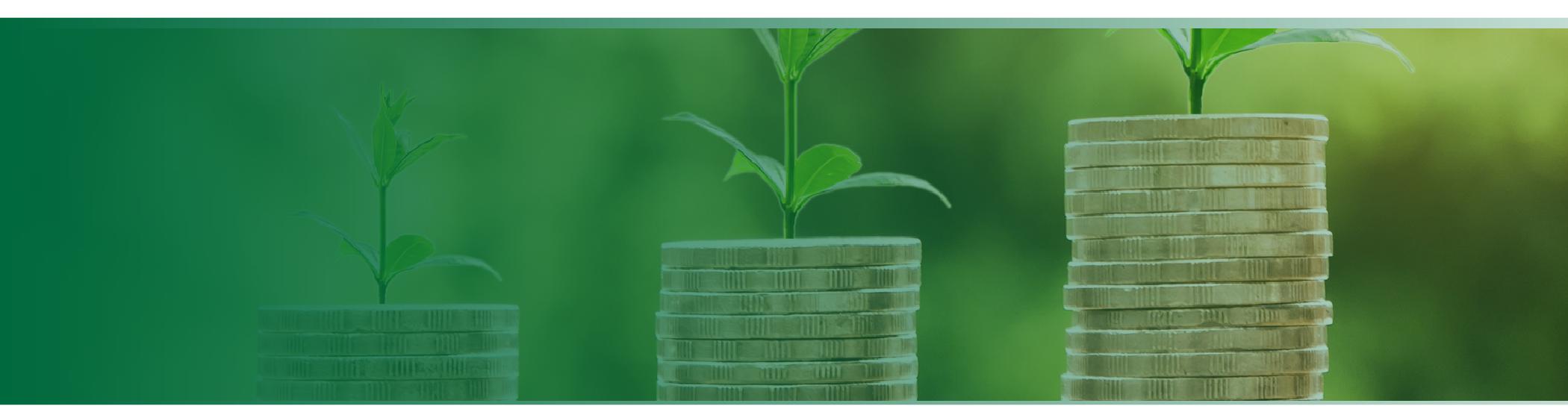 Insolvency & Restructuring